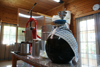 oleolito-torchiato filtrato