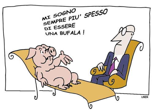 influenza-suina.