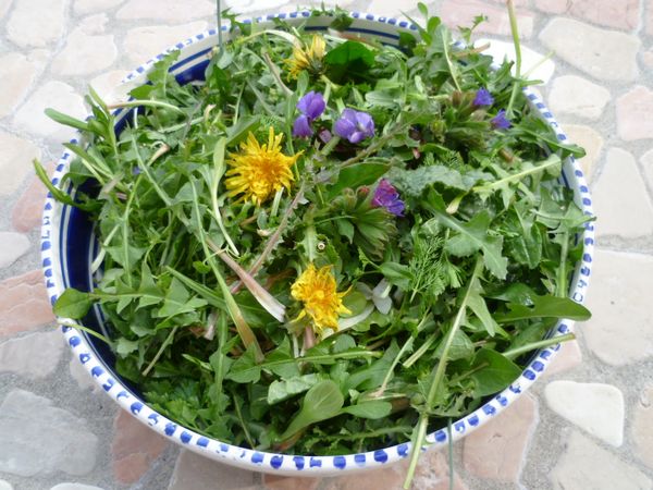 insalatina_primavera