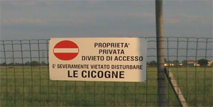 Lasciate stare le nostre cicogne Lasciate stare le nostre cicogne