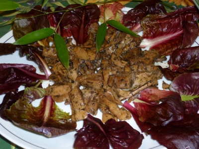 SEITAN_IN_SALSA_DI_CICORIAs