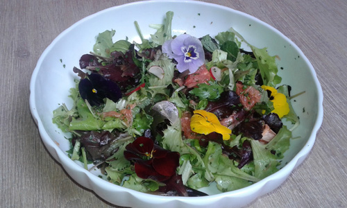 insalata-primaverile-di-pompelmo insalata-primaverile-di-pompelmo