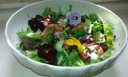 insalata-primaverile-pompelmo insalata-primaverile-pompelmo