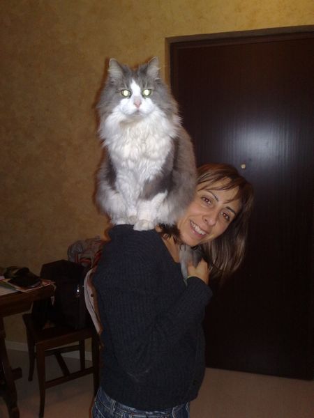 sabrina-e-zagor.